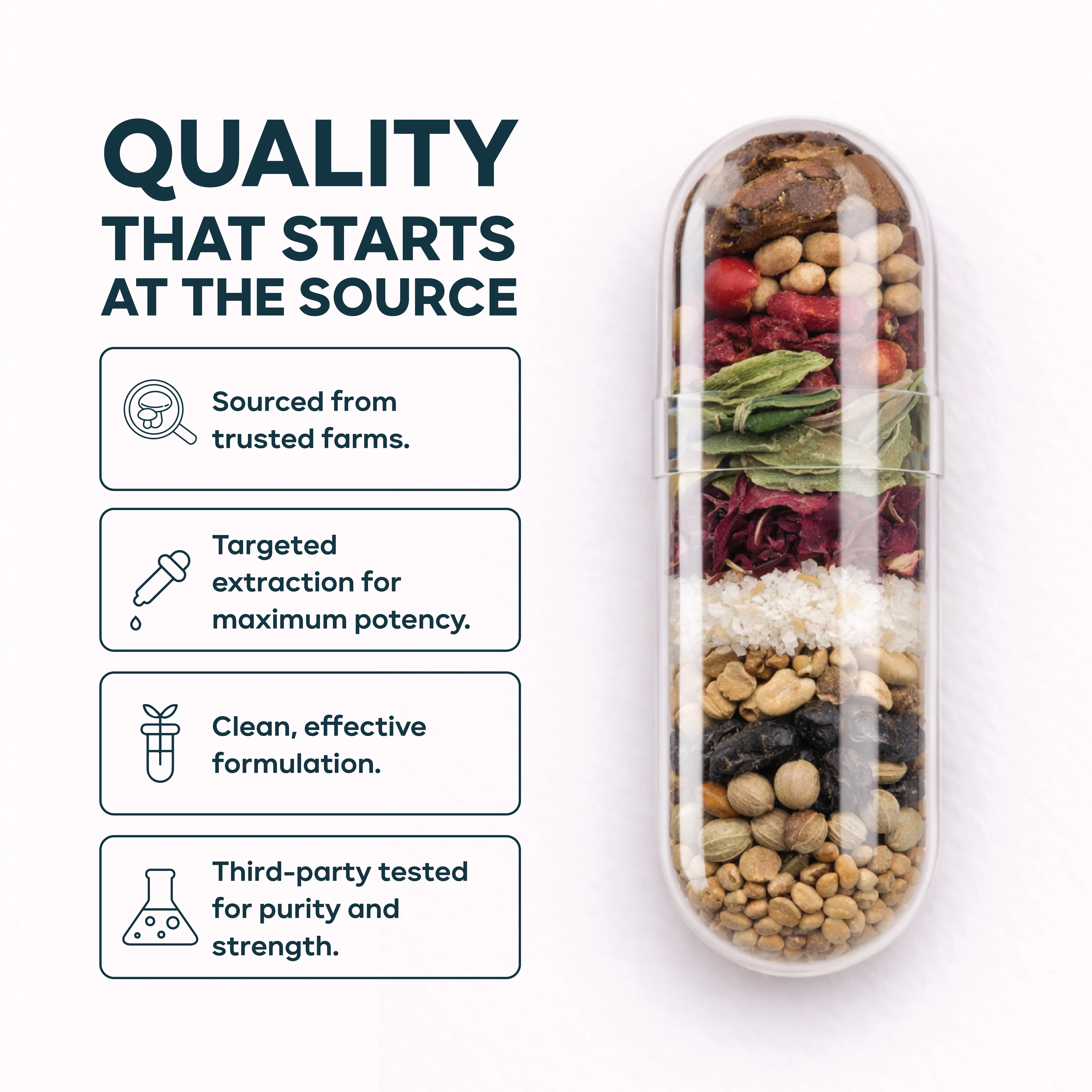 Blood Pressure Support with Hawthorn Berry & Hibiscus | Natural Heart Health