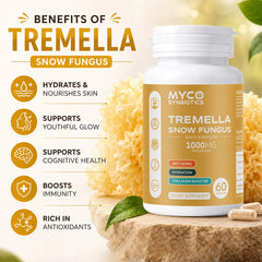 Tremella Snow Fungus Capsules | Organic Herbal Extract for Skin, Hair & Nails Support Supplement
