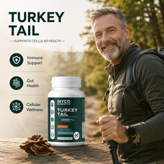 Turkey Tail Mushroom Capsules – Organic Immune Support Supplement