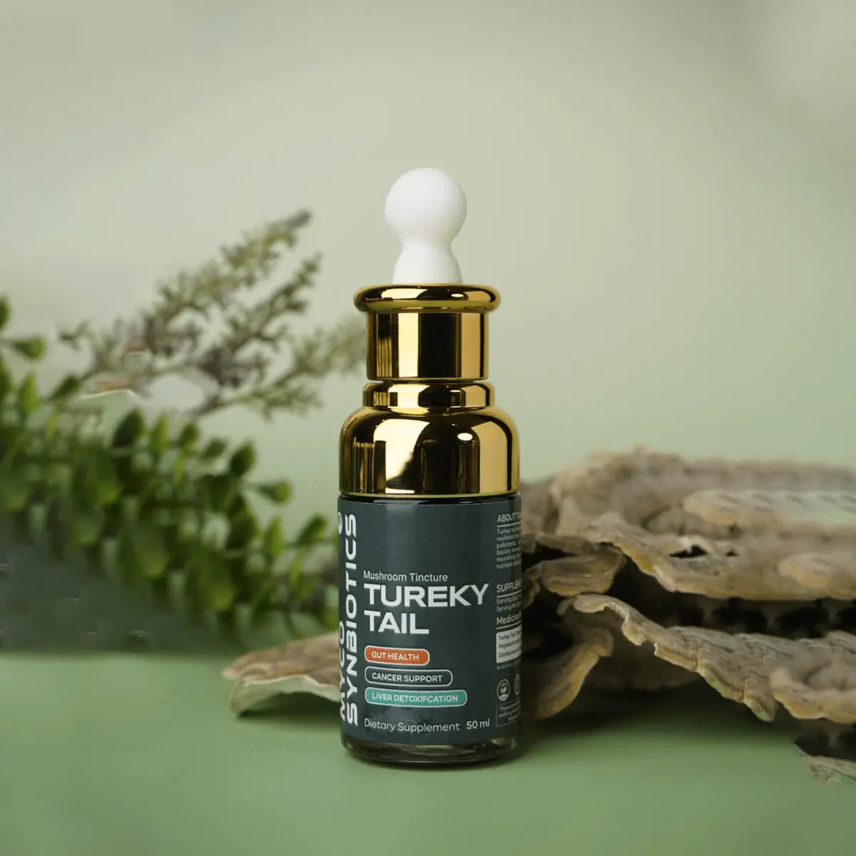 Turkey Tail Mushroom Extract – Organic & Dual Extract for Immune Support