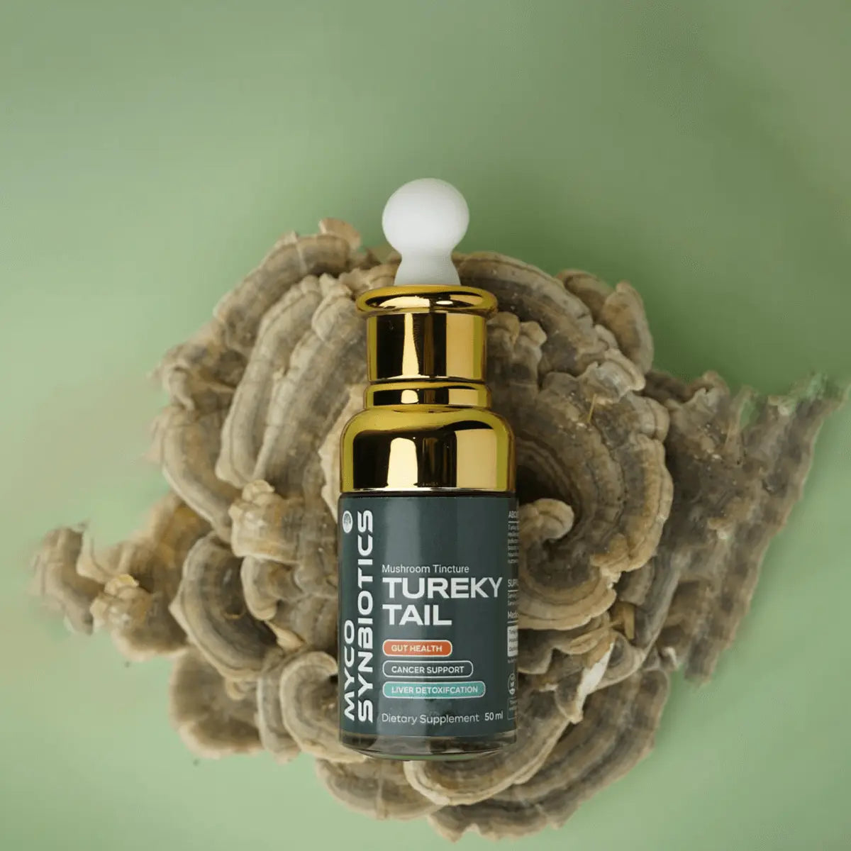 Turkey Tail Mushroom Extract – Organic & Dual Extract for Immune Support