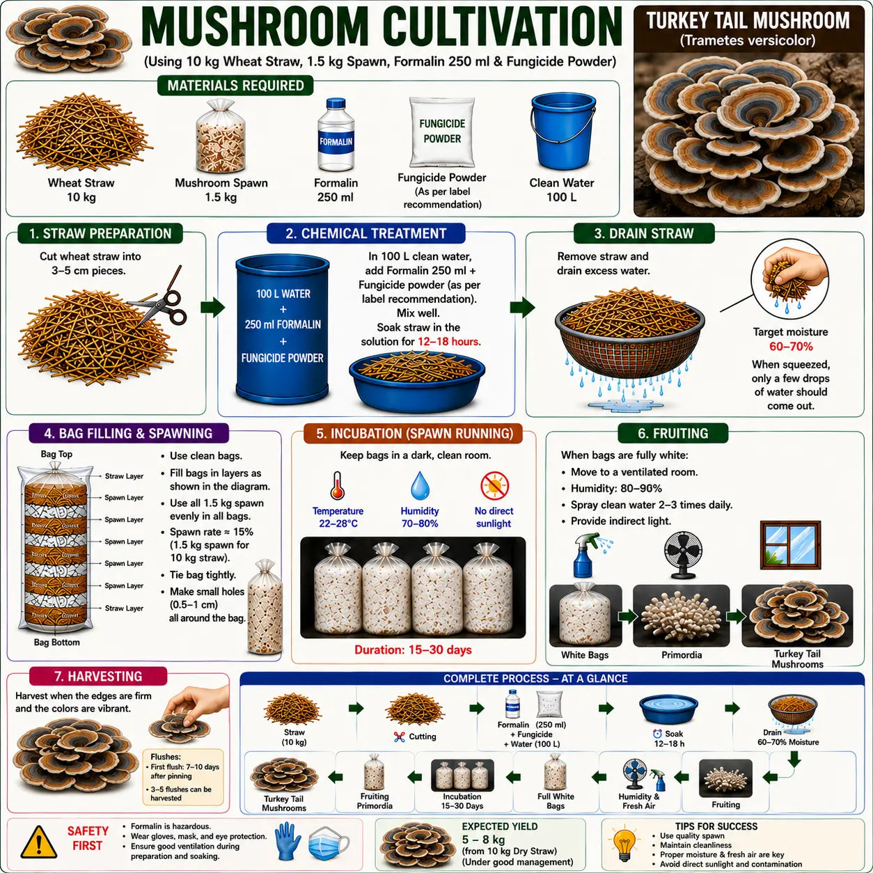 Turkey Tail Mushroom Grain Spawn 1.5kg (160)
