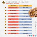 Turkey Tail Mushroom Grain Spawn 1.5kg (160)
