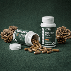 Turkey Tail Mushroom Capsules – Organic Immune Support Supplement