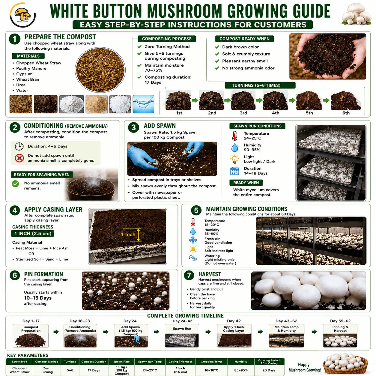 White Button Mushroom Grain Spawn 1.5kg (F599) Holland