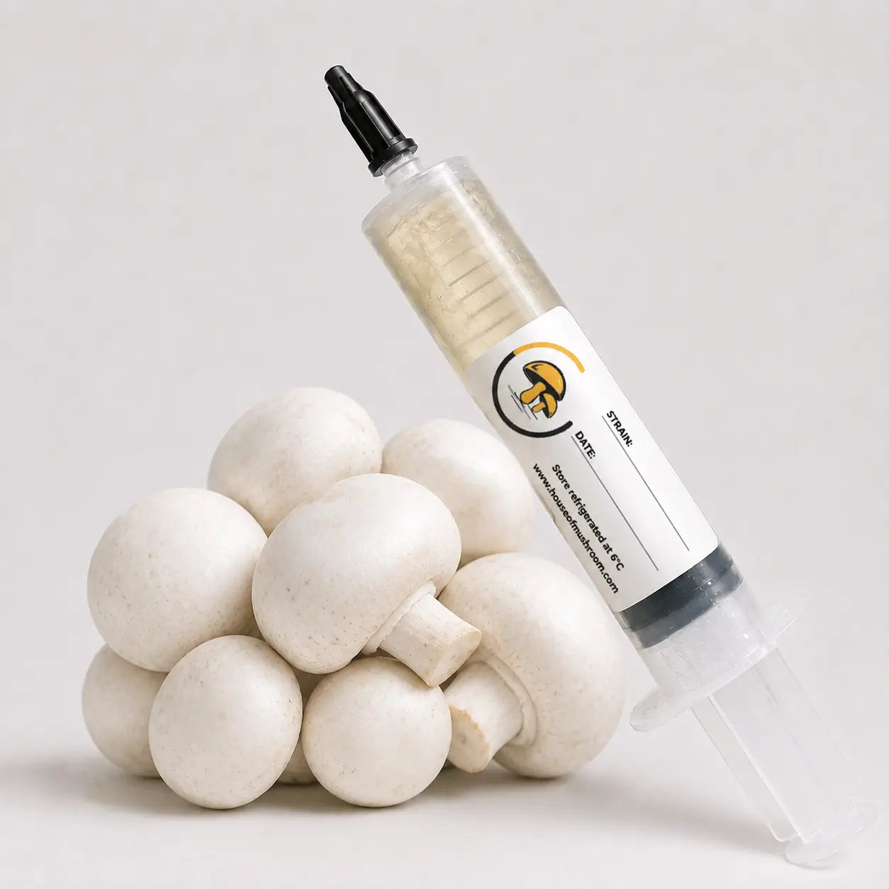 White Button Mushroom Liquid Culture Syringe – 10cc | Agaricus Bisporus Strain (599)