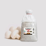 White Button Mushroom Grain Spawn 1.5kg (F599) Holland