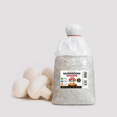 White Button Mushroom Grain Spawn 1.5kg (F599) Holland