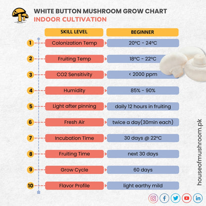 White button mushroon spawn - Grow chart