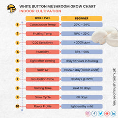 WHITE BUTTON MUSHROOM GRAIN SPAWN 1.5KG (599)