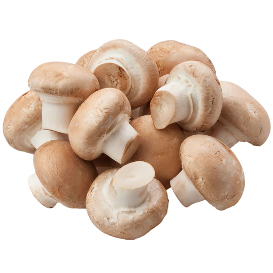 Brown Button Crimini Mushroom Grain Spawn 1.5kg (510) - House of Mushroom