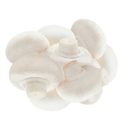 White Button Mushroom - Raw