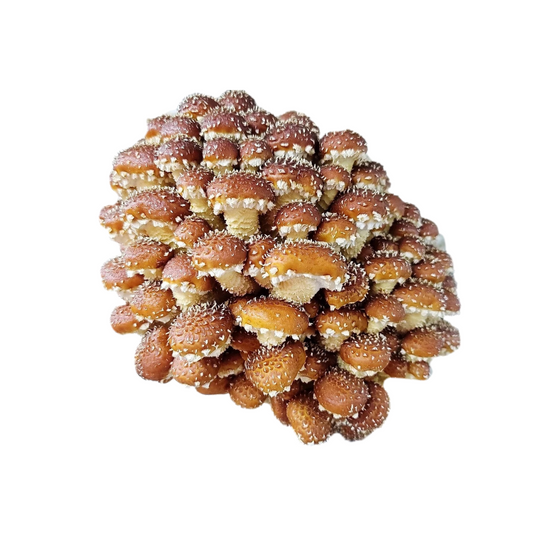 Fresh Chestnut Mushroom 200gm