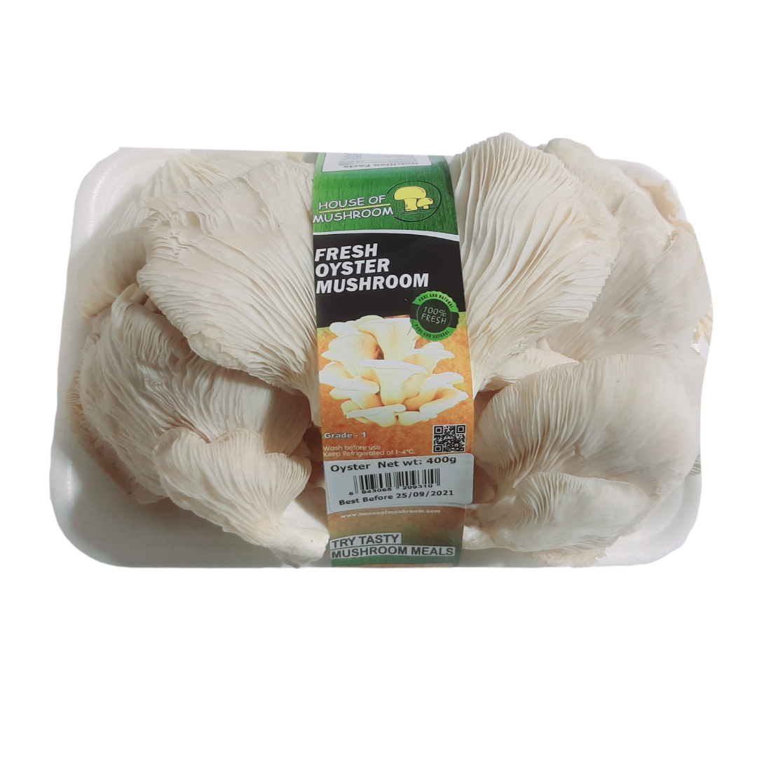 FRESH WHITE OYSTER MUSHROOM 400gm - House of Mushroom